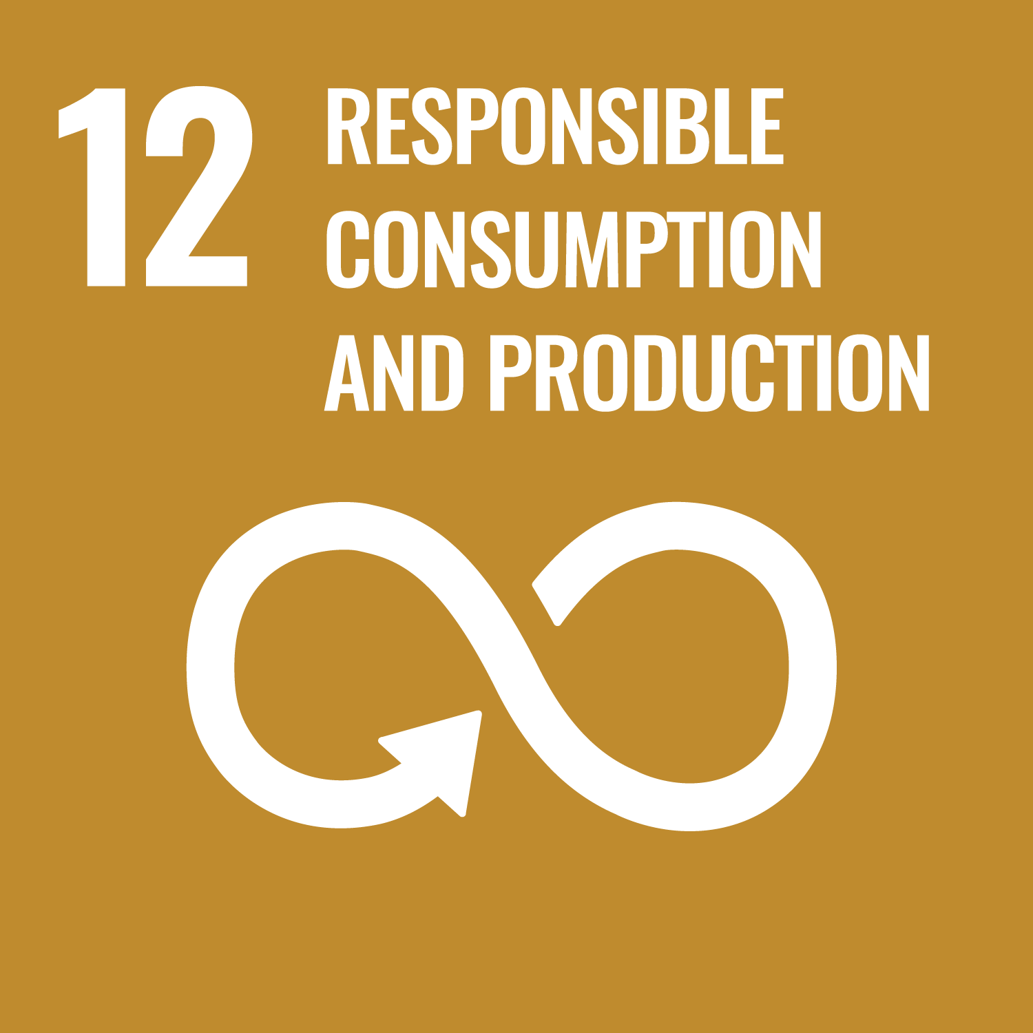 Responsible Consumption and Production SDG Graphic